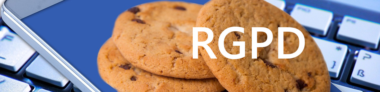 illustration politique de confidentialité location-jeux-gonflables